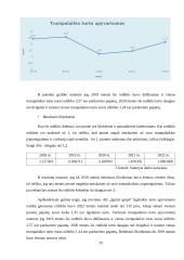 Investicinio portfelio sudarymas ir vertinimas 18 puslapis