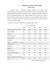 Investicinio portfelio sudarymas ir vertinimas 3 puslapis