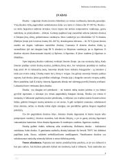 Rafinuota ir nerafinuota druska 2 puslapis