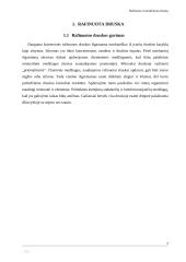 Rafinuota ir nerafinuota druska 6 puslapis