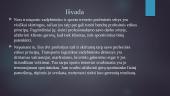 Transporto logistikos vadybininko bei sporto trenerio profesinės etikos principai 11 puslapis