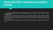 Privalomąjį sveikatos draudimą vykdančios institucijos 4 puslapis