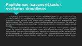 Privalomąjį sveikatos draudimą vykdančios institucijos 7 puslapis