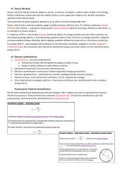 Fizikos konspektai 16 puslapis