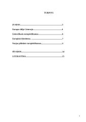 Lietuvos kultūrinis ir istorinis identitetas Europos kontekste 2 puslapis