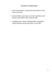 Lietuvos kultūrinis ir istorinis identitetas Europos kontekste 16 puslapis