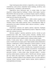 Lietuvos vandens ištekliai 12 puslapis