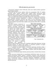 Mikrokompiuteriai 11 puslapis