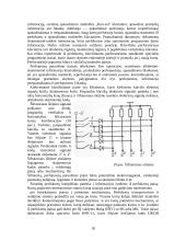 Mikrokompiuteriai 18 puslapis