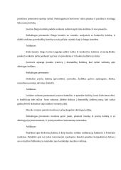 Kaip ugdyti 3-4 metų vaikų etninę kultūra? 4 puslapis