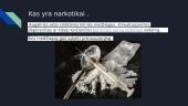 Narkotikai ir jų žala (skaidrės) 2 puslapis