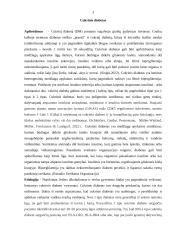 Slaugos istorija (cukrinis diabetas) 2 puslapis