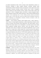 Slaugos istorija (cukrinis diabetas) 4 puslapis