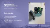 Fizikinis eksperimentas. Statinis skirstytuvas 