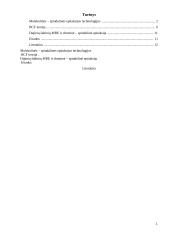 Molekulinės–spindulinės epitaksijos technologijos 2 puslapis