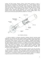 Molekulinės–spindulinės epitaksijos technologijos 5 puslapis