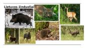 Žinduoliai. Skaidrės 7 puslapis