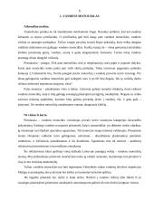 Motociklai 5 puslapis