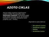 Azoto ir anglies ciklai  10 puslapis