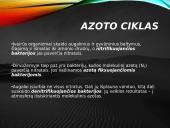 Azoto ir anglies ciklai  12 puslapis