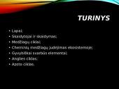 Azoto ir anglies ciklai  2 puslapis