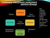 Azoto ir anglies ciklai  6 puslapis