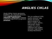 Azoto ir anglies ciklai  8 puslapis