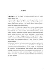 Narkotikai 2 puslapis