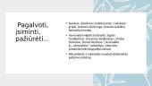 Disidentinis pasipriešinimas (skaidrės) 11 puslapis