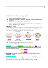 Konspektas apie evoliuciją 2 puslapis