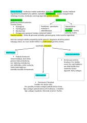 Konspektas apie evoliuciją 3 puslapis