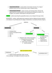 Konspektas apie evoliuciją 5 puslapis