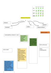 Konspektas apie evoliuciją 6 puslapis
