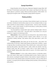 Odos ir plaukų priežiūra 5 puslapis