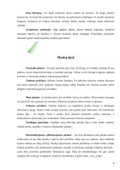 Odos ir plaukų priežiūra 6 puslapis