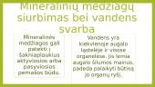 Augalų šaknys 9 puslapis