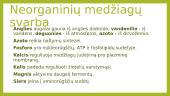 Augalų šaknys 10 puslapis