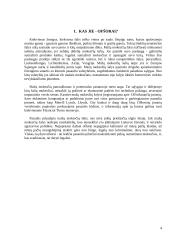 Ofšorai ir mokesčiai 4 puslapis