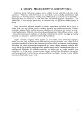 Ofšorai ir mokesčiai 7 puslapis