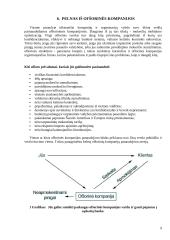 Ofšorai ir mokesčiai 9 puslapis