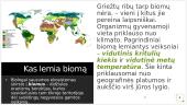 Biomas 2 puslapis