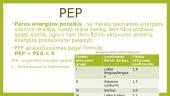 Maisto medžiagų ir energijos poreikis. Energija ir mityba. Maisto priedai 6 puslapis