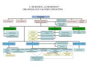 Organizacijos valdymo struktūra: AB bankas "Eurobankas" 13 puslapis