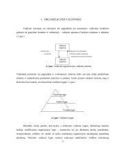 Organizacijos valdymo struktūra: AB bankas "Eurobankas" 3 puslapis