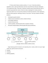 Organizacijos valdymo struktūra: AB bankas "Eurobankas" 8 puslapis
