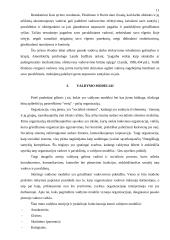 Organizacijų tipai ir valdymas 11 puslapis