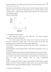 Organizacijų tipai ir valdymas 18 puslapis