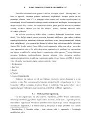 Organizacijų tipai ir valdymas 3 puslapis