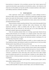 Organizacijų tipai ir valdymas 5 puslapis
