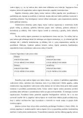 Organizacijų tipai ir valdymas 9 puslapis